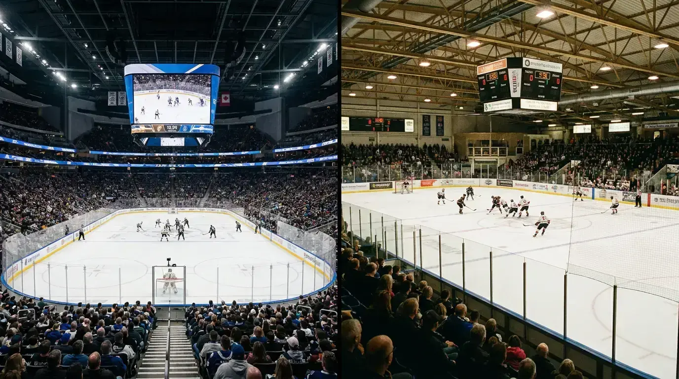 Split view comparing an NHL arena with an EIHL rink